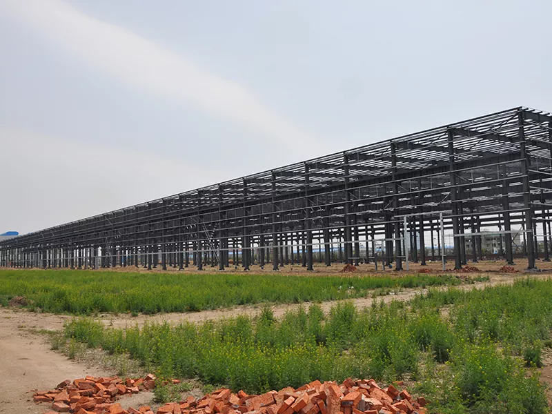 Steel Warehouse Couse Buits
